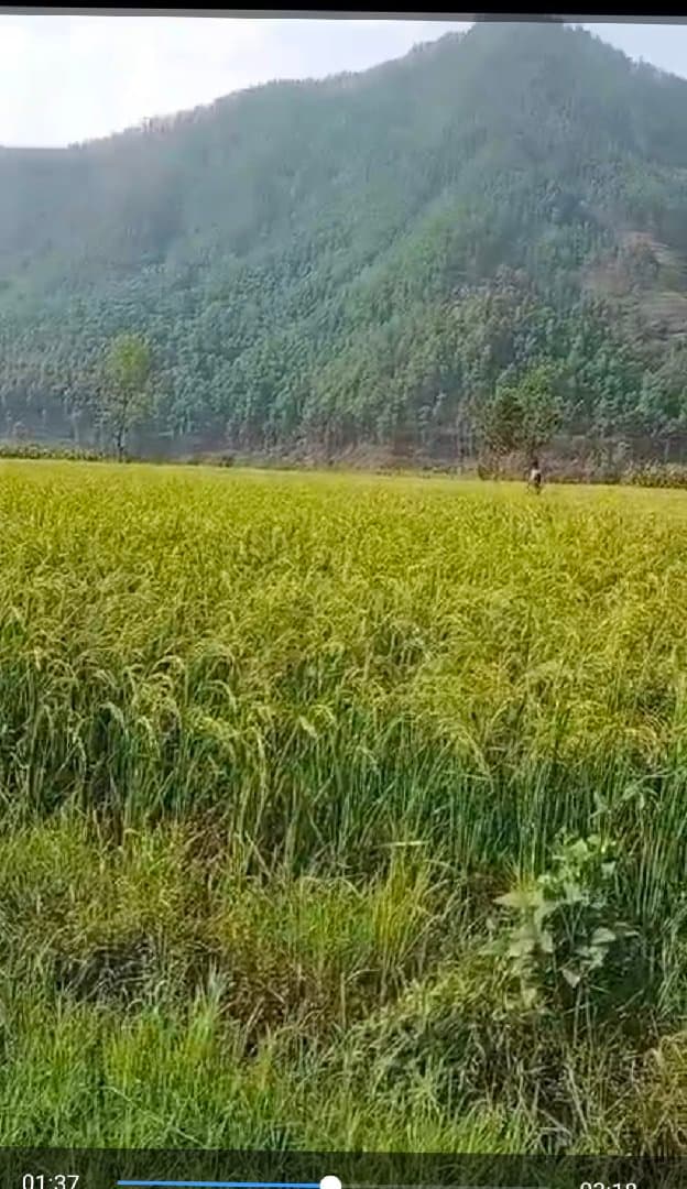 राम्रो मिलेको जग्गा खेती गर्न बस्न घर बनाउन पशुपालन गर्न लागि उपयुक्त जग्गा