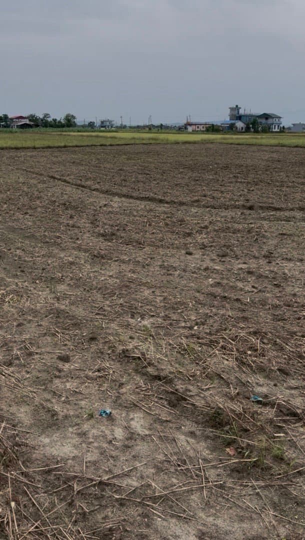 farming