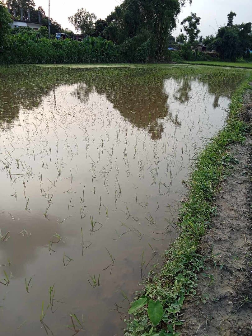 sale pfland for agruculture in sarlahi district