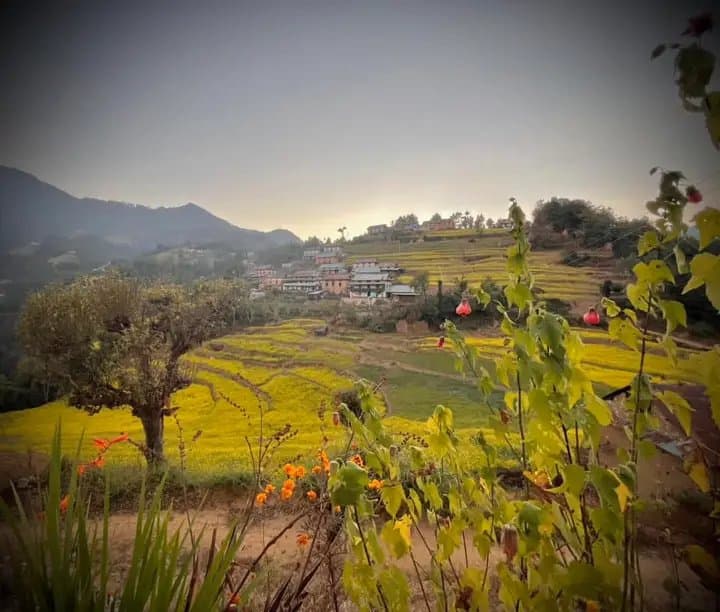 enjoy nature with bethnchowk sunrise homestay