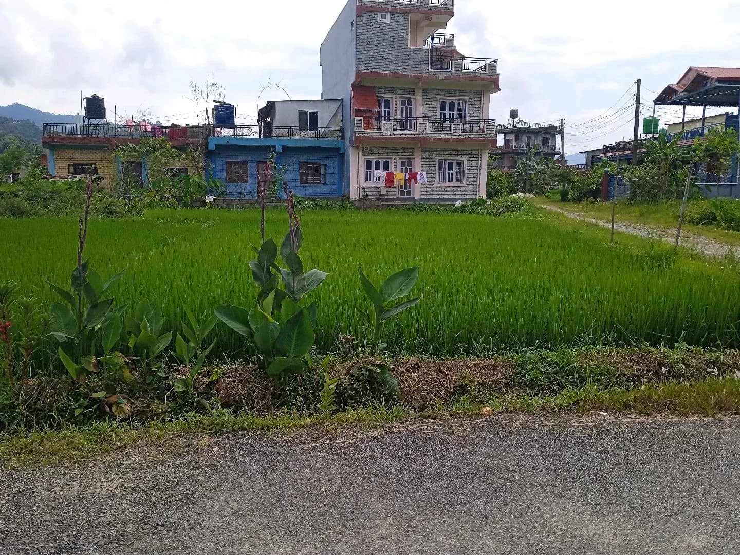 पोखरा ३१ लेखनाथ मोहोरिया चोक नजिकै राम्रो घडेरी विक्रिमा आवश्यक परेमा सम्पर्क गर्नुहोला