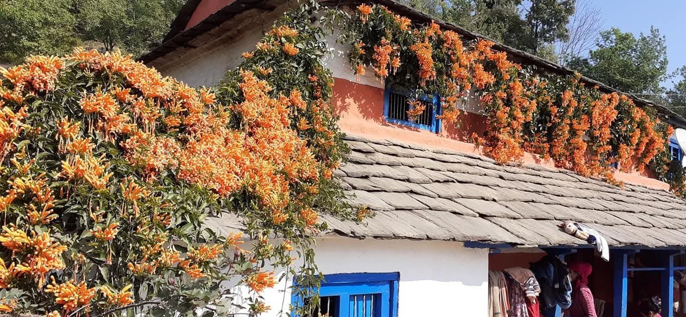 Trimuni Dattalote, 1, Aandhikhola, Syangja