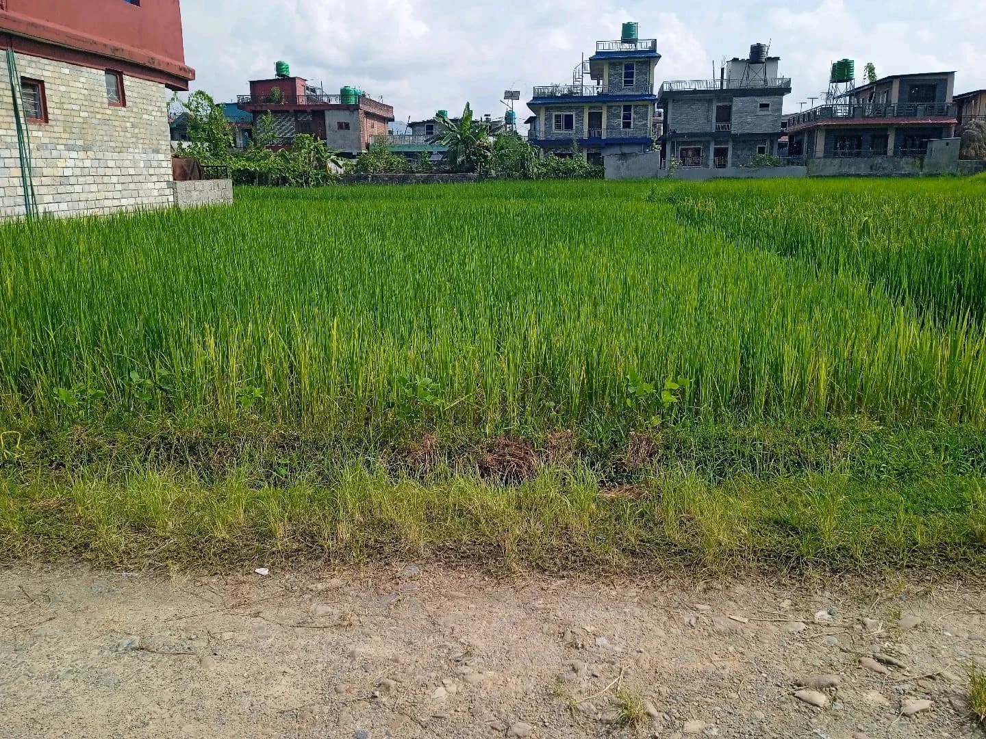पोखरा ३० मोहोरिया चोक वाट १०० मिटर भित्र राम्रो घडेरी विक्री
