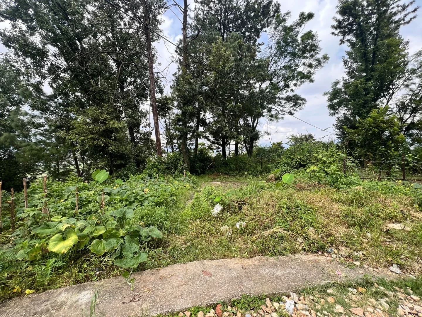kamalpokhari, 1, Bhaktapur, Bhaktapur