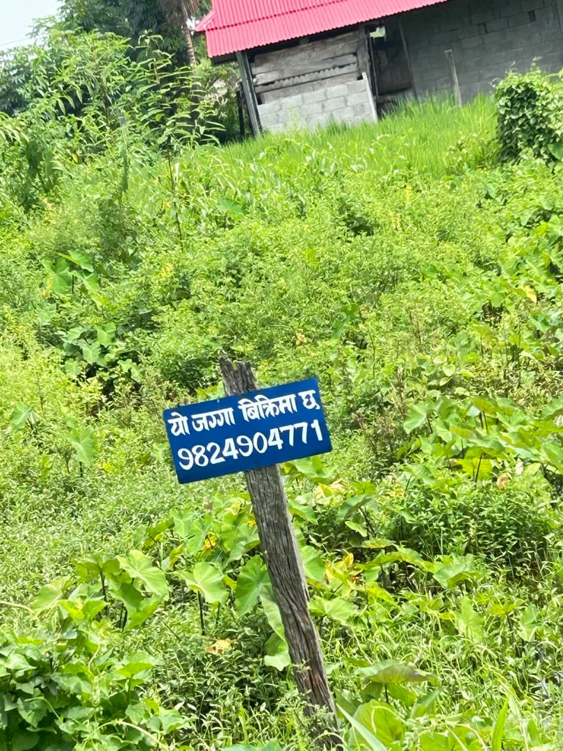 biratpokhar, Ward 4, Birtamod, Jhapa