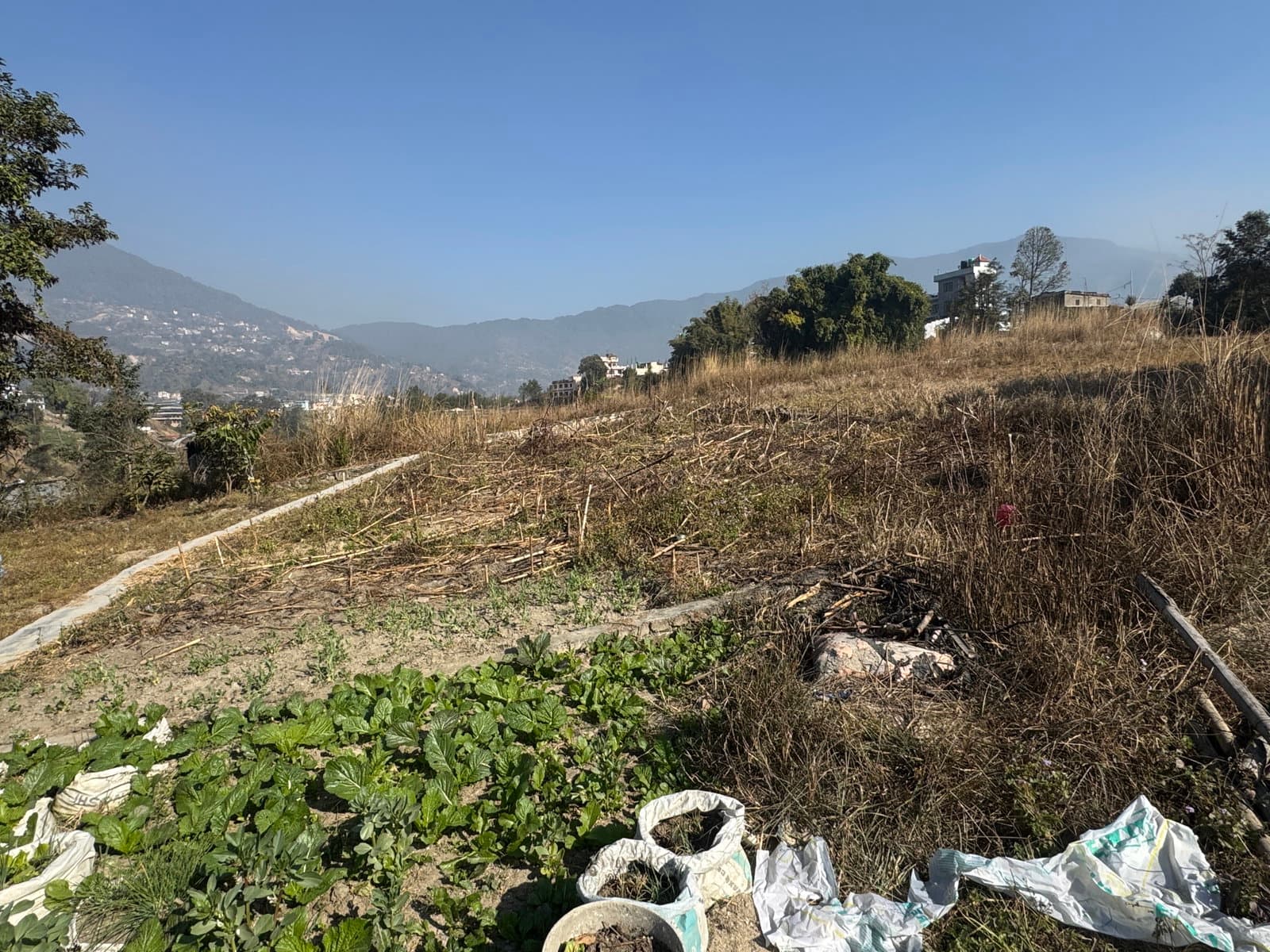 urgent land sell 4 Ana 1 paisa bato 13 fit