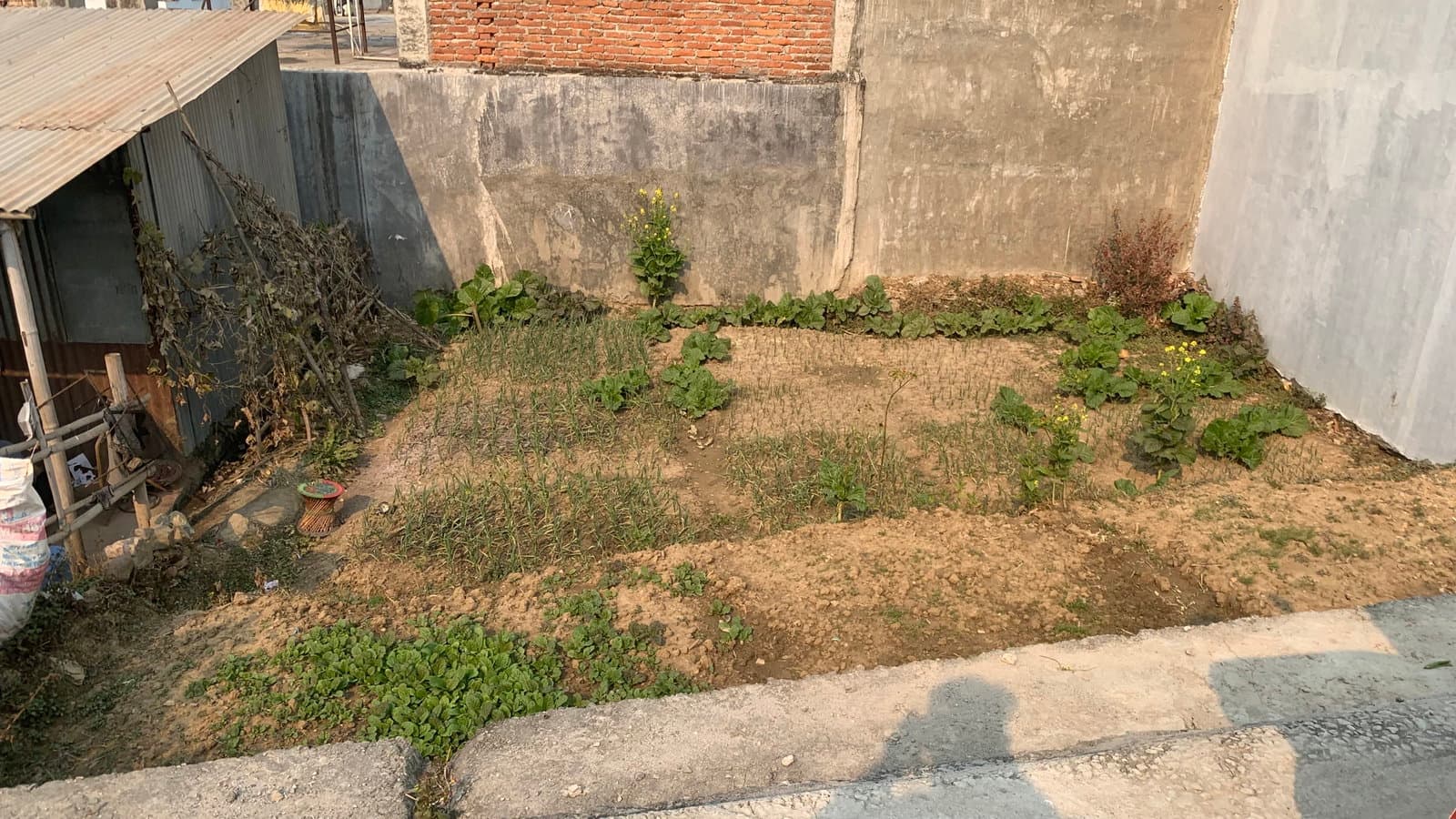 sankhadevi land sale