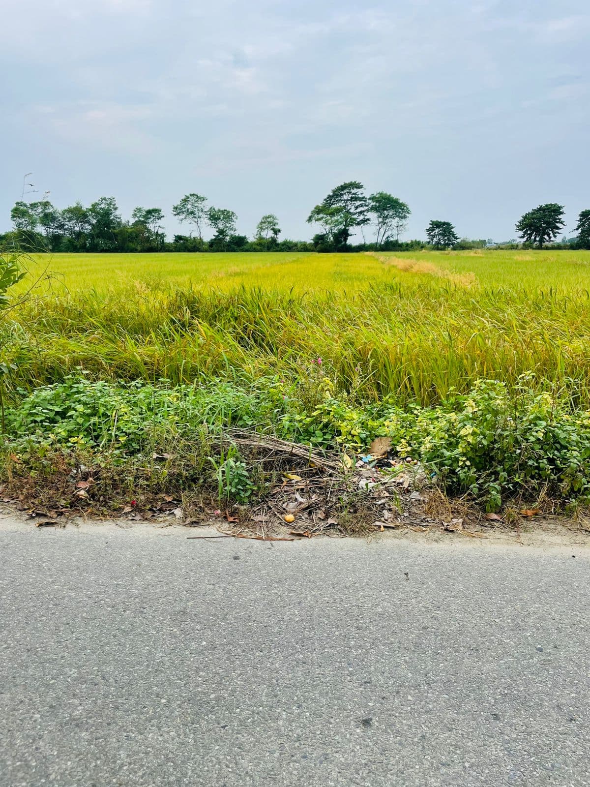 Land for Sale..