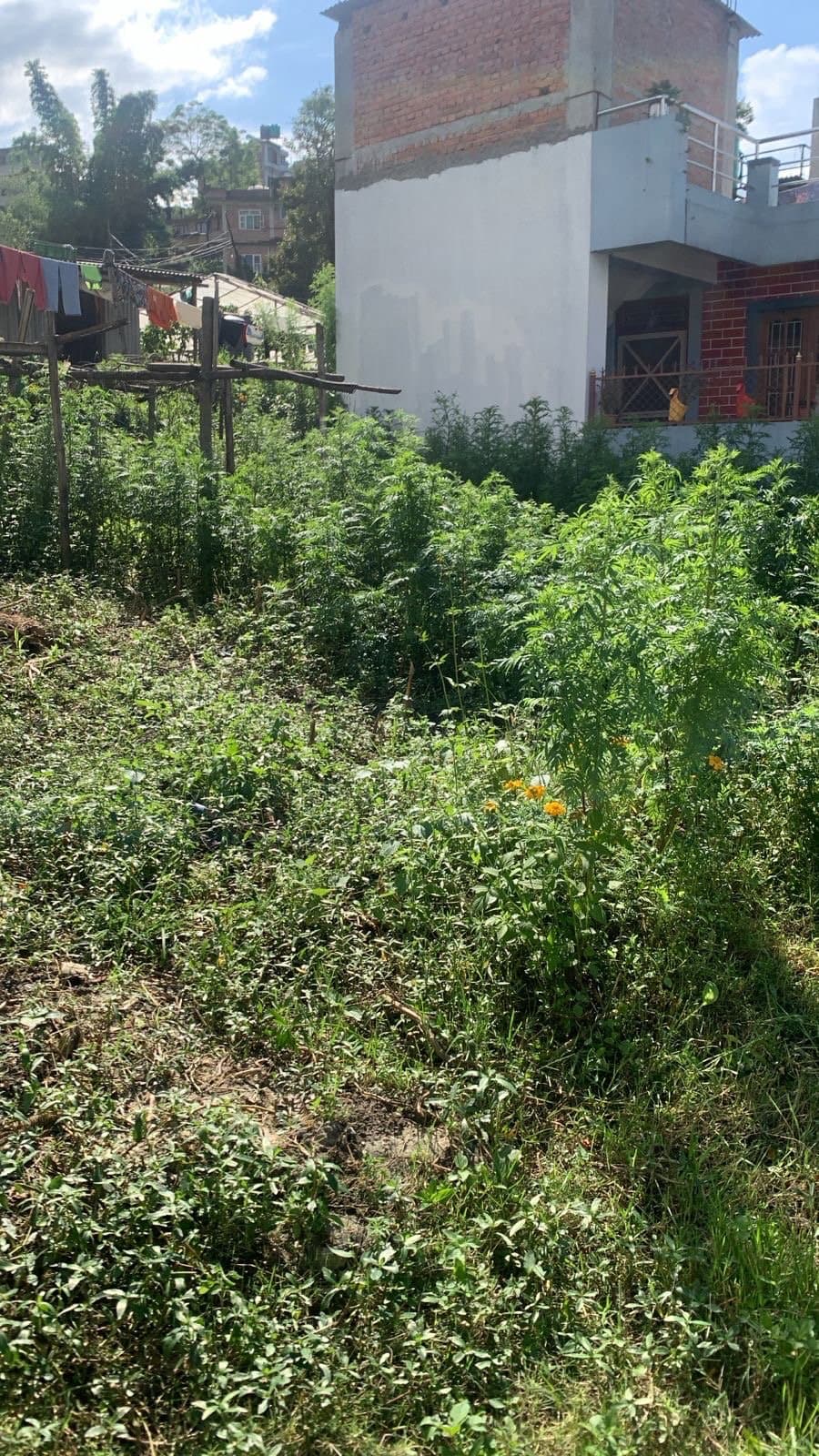 land on sale at lubhu