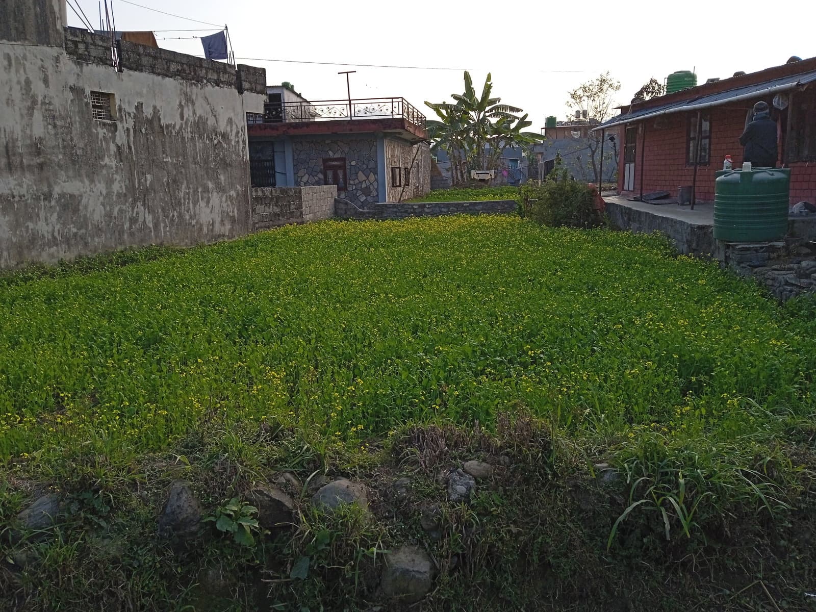 पोखरा ३१ खुदी सस्तोमा घडेरी विक्री