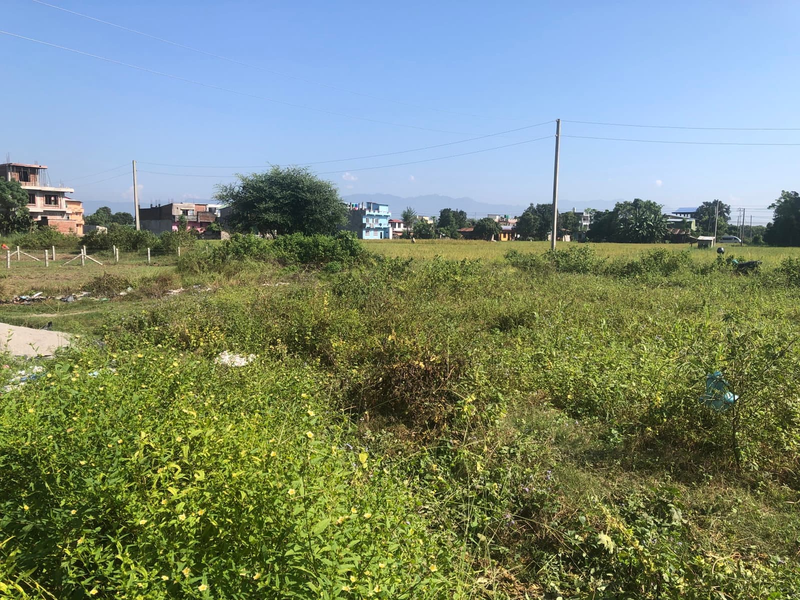 Attractive Land is for sale in Bharatpur ,Chitwan