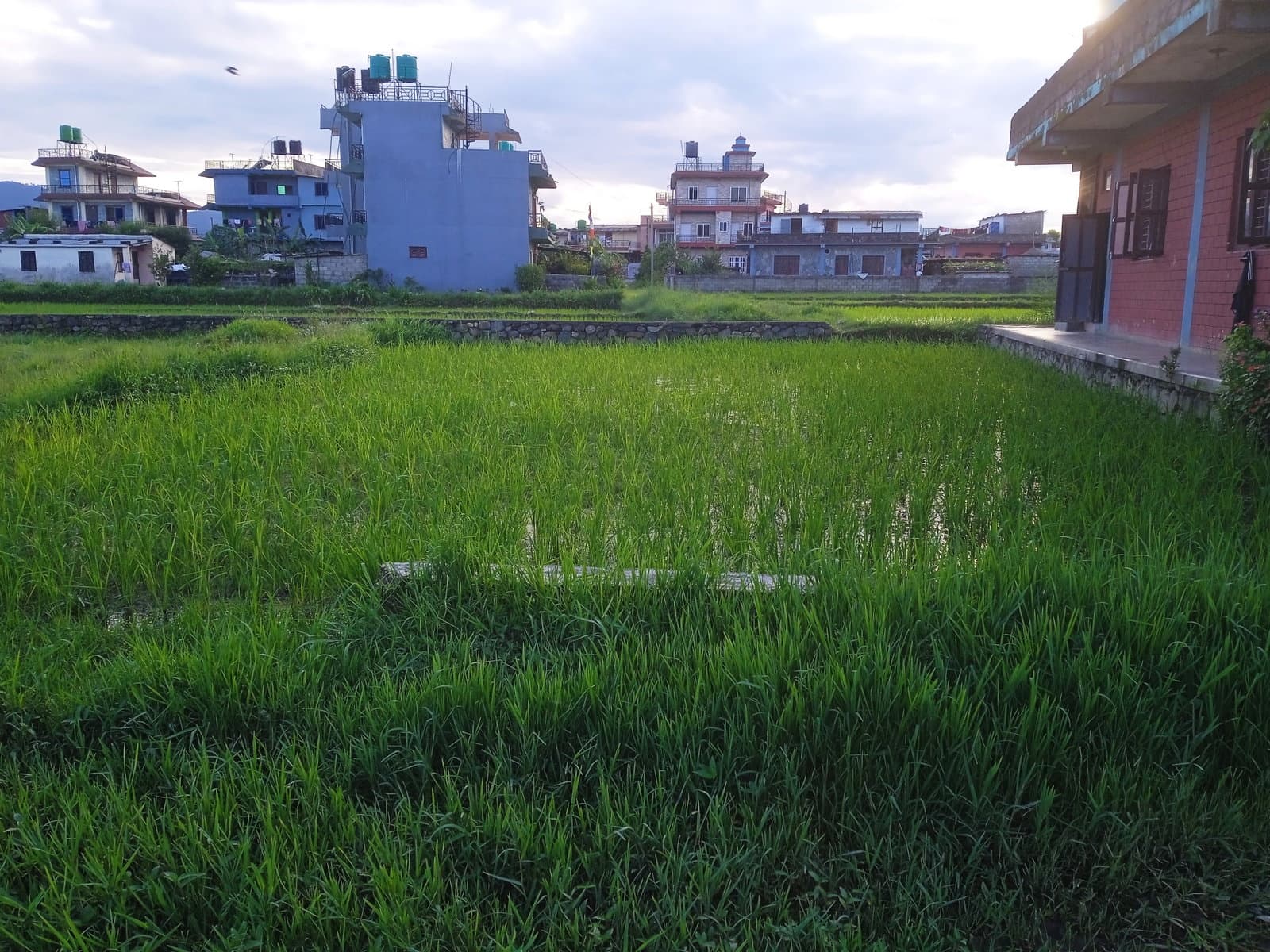 पोखरामा आकर्षक घडेरी विक्रीमा