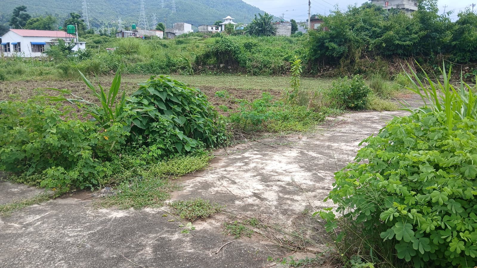 Best land for hetauda