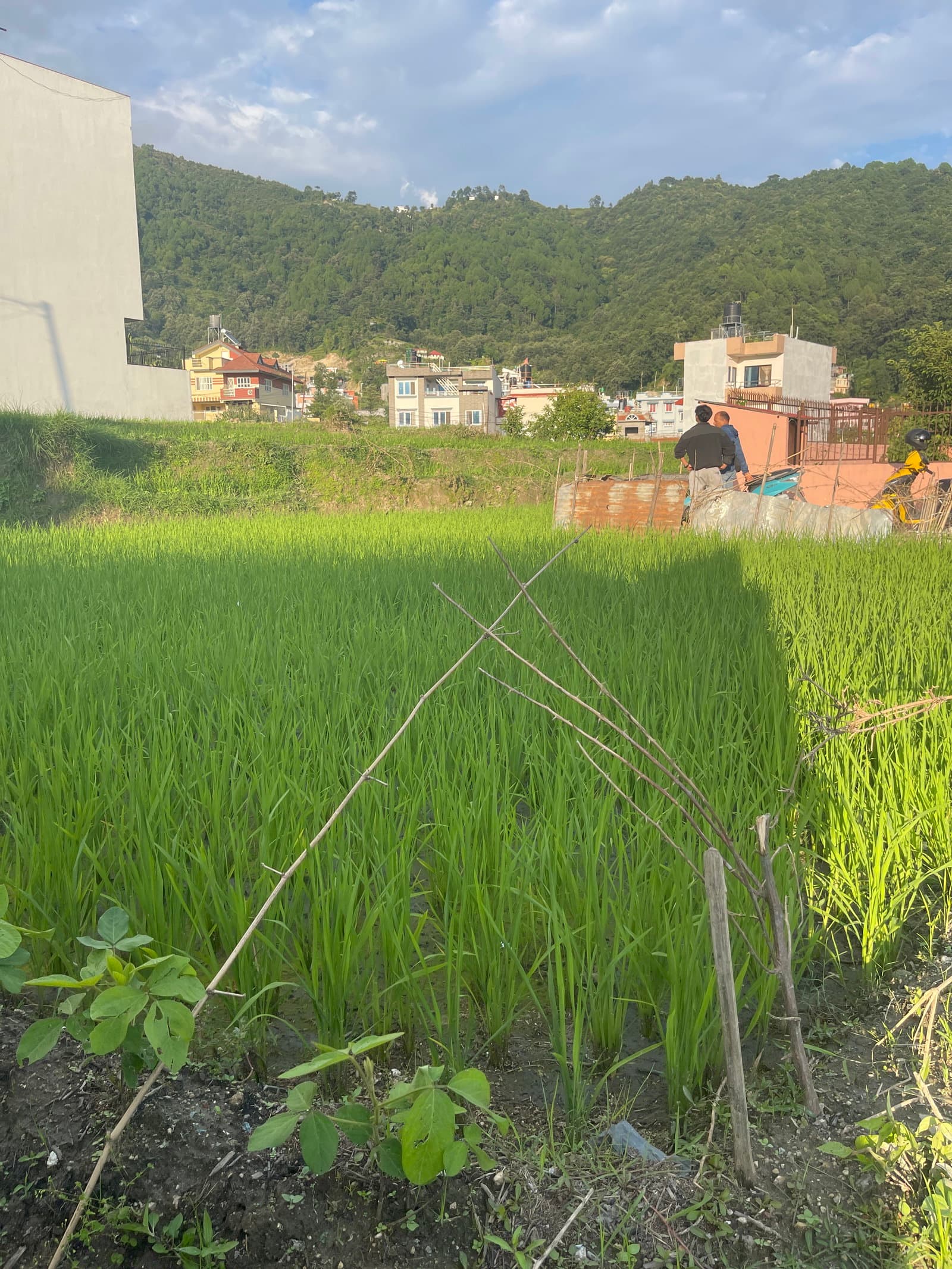 Land for sale in Washik,Budhanilkantha