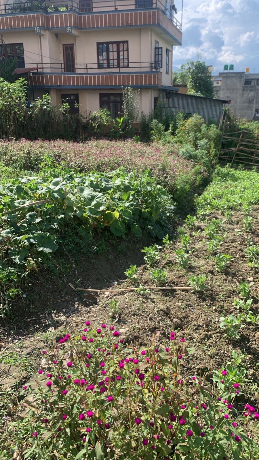 land on sale at lubhu