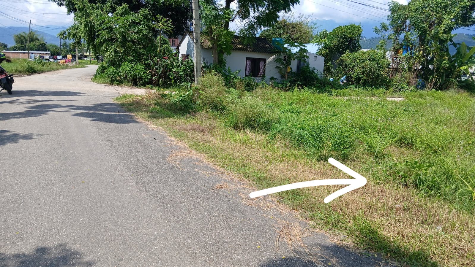 कमाने 7 मा घडेरि बिक्रीमा ..