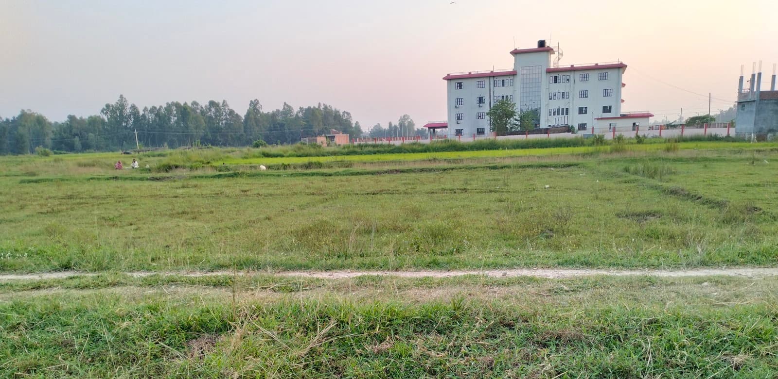 🌿 सिरहाको धनगढमाई नगरपालिका भवनको नजिकै आकर्षक जग्गा बिक्रीमा 🌿