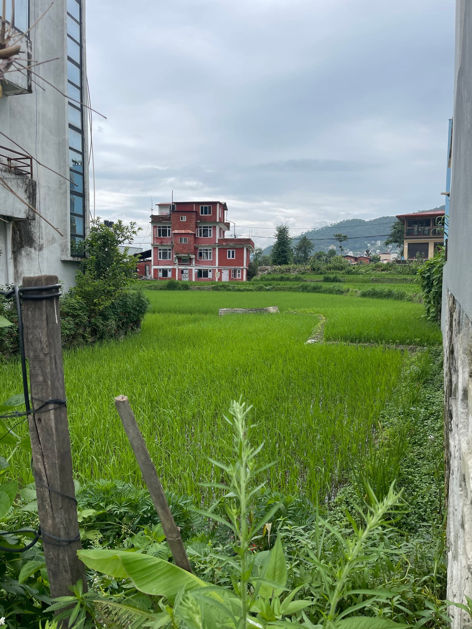 5.5 Aana land for sale.