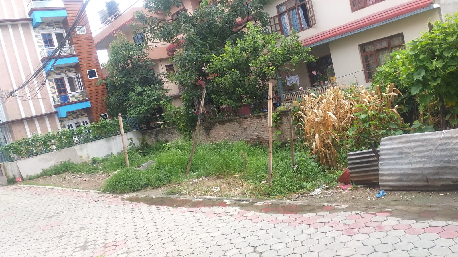 सस्तो मूल्यमा जग्गा बिक्रीमा