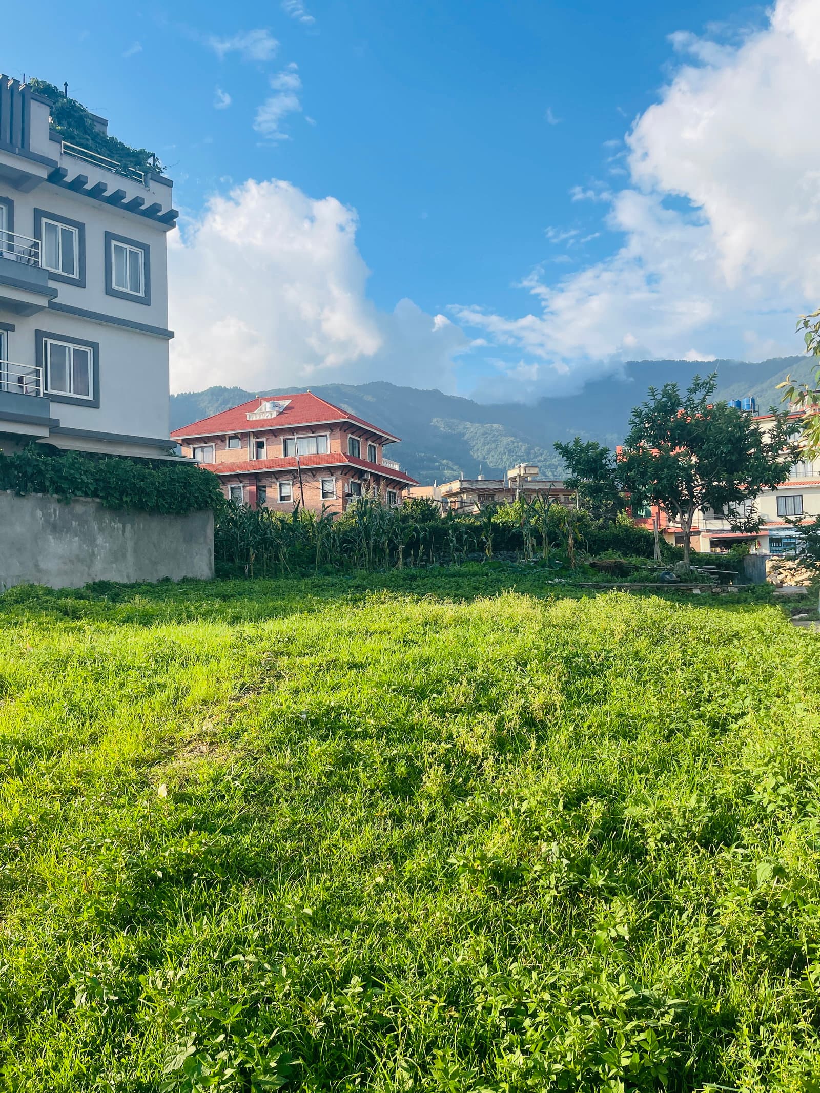Commercial/Residential Land for sale in chapali
