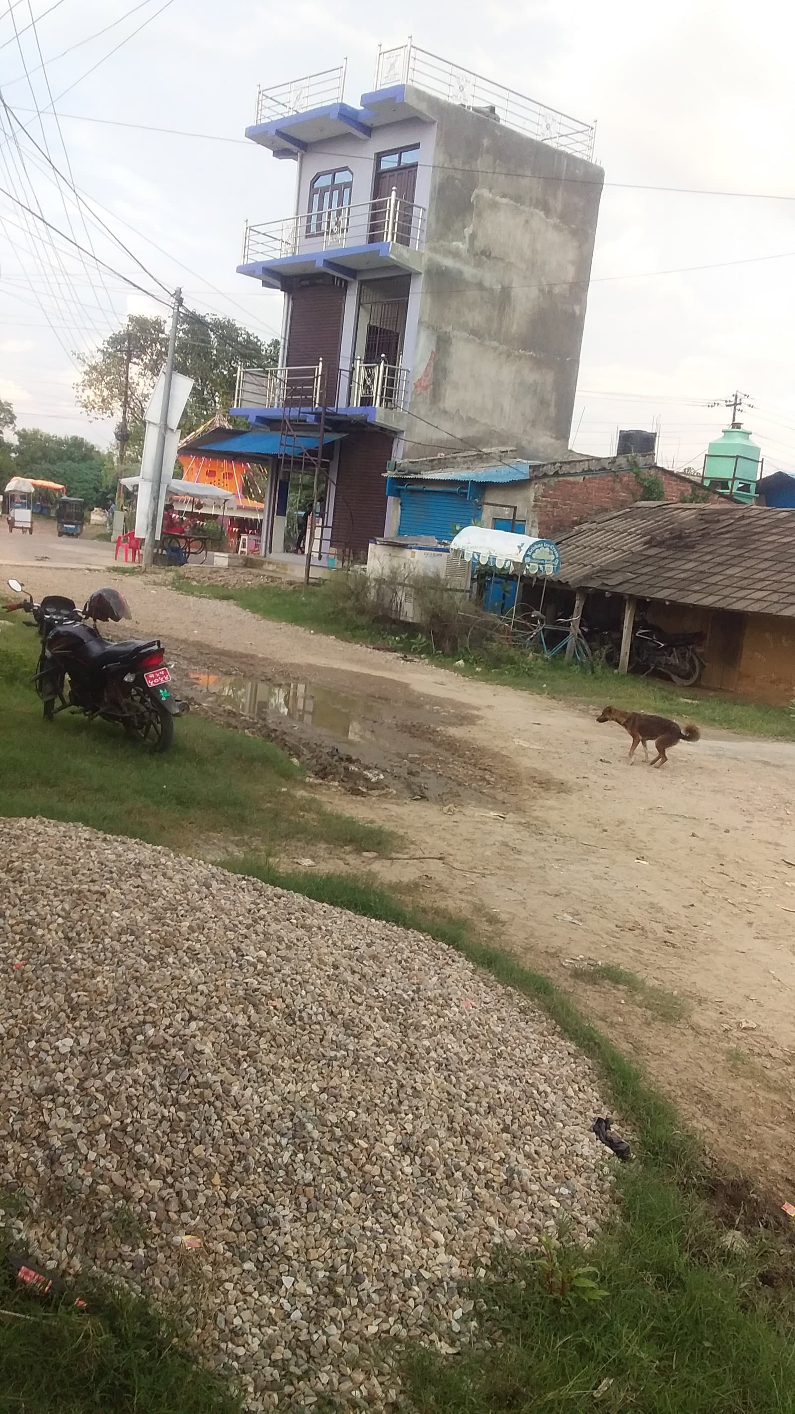 1 kattha jagga bikrima xa Gulariya-1 Bardiya