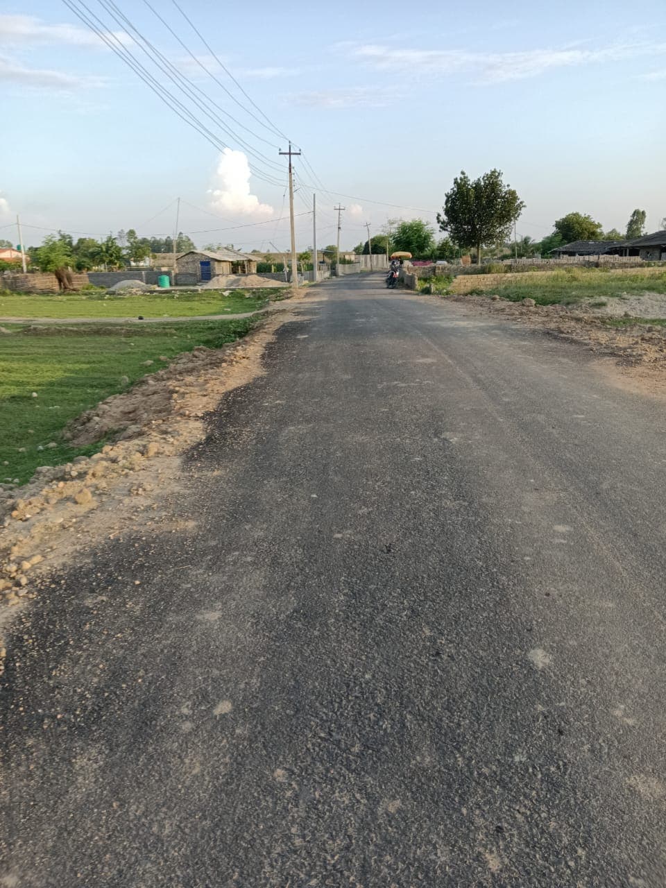 9702621186