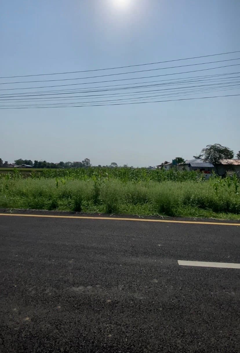 12 Kattha Prime Land for Sale chitwan parbatipur